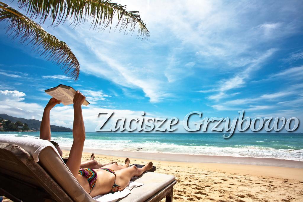 Zacisze Grzybowo Apartment กชึชโบโว ภายนอก รูปภาพ